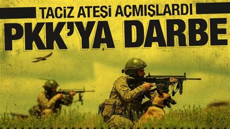 Z­e­y­t­i­n­ ­D­a­l­ı­ ­b­ö­l­g­e­s­i­n­d­e­ ­6­ ­P­K­K­­l­ı­ ­t­e­r­ö­r­i­s­t­ ­e­t­k­i­s­i­z­ ­h­a­l­e­ ­g­e­t­i­r­i­l­d­i­